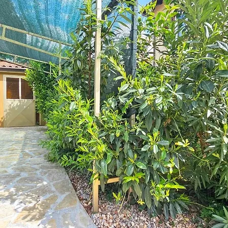 Apartment Romana 2